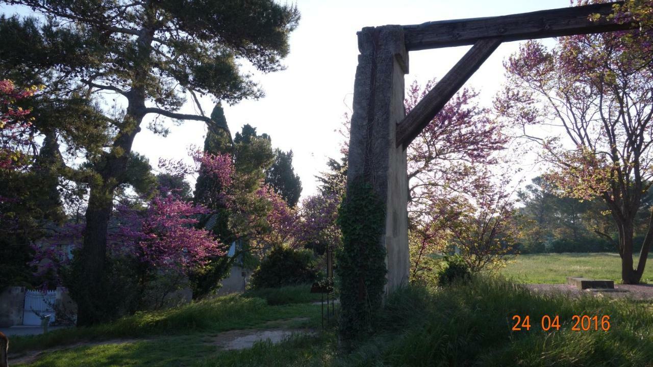 Les Lavandins-Gite Frederic Saint-Rémy-de-Provence Екстериор снимка